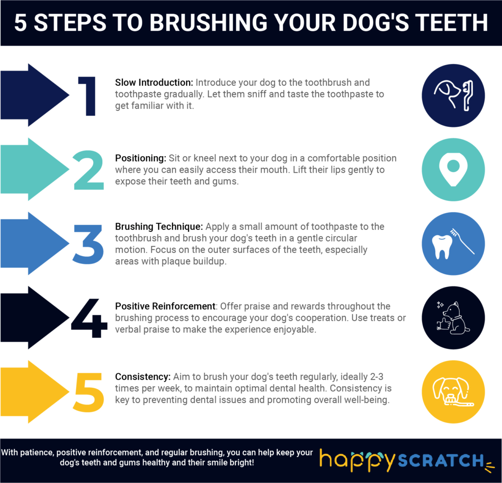 brushing your dog's teeth